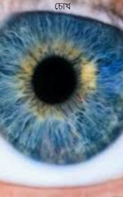 চোখ