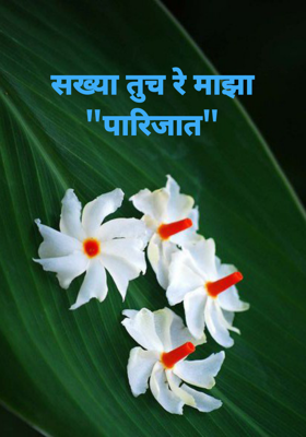 सख्या तूच रे माझा पारिजात