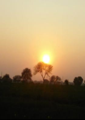 मदमस्त पवन के झोंके