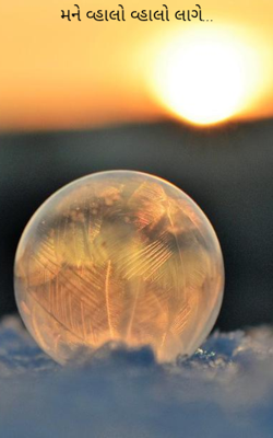 મને વ્હાલો વ્હાલો લાગે...