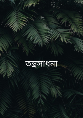 তন্ত্রসাধনা 