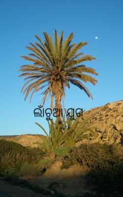 ଲାଁଚୁଆ ଯୁଗ୍