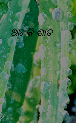 ଆଃ କି ଶୀତ