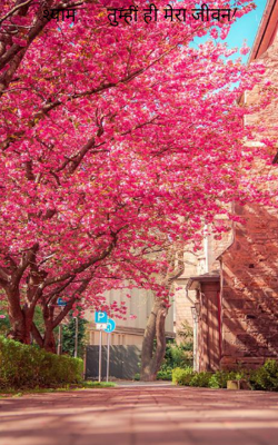 श्याम....... तुम्हीं ही मेरा जीवन!