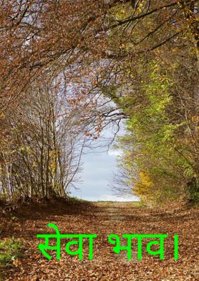 सेवा भाव।