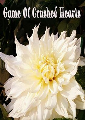 Game Of Crushed Hearts