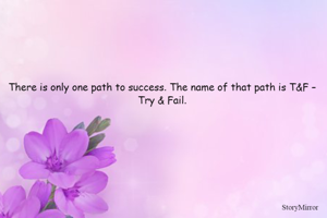 There is only one path to success. The name of that path is T&F – Try & Fail.