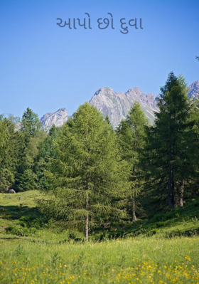 આપો છો દુવા