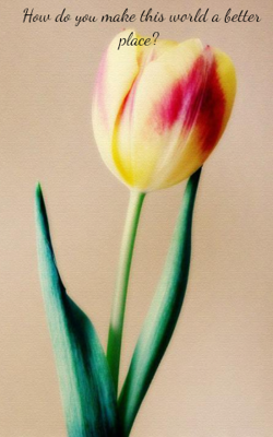 How Do You Make This World A Better Place?