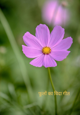 फूलों का विदा गीत