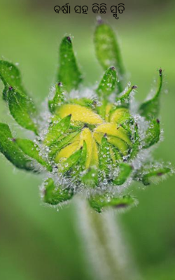 ବର୍ଷା ସହ କିଛି ସ୍ମୃତି