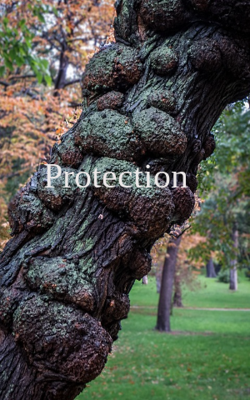 Protection