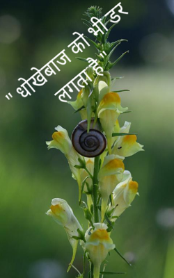 " धोखेबाज को भी डर लगता है "