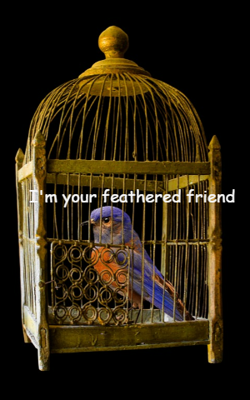 I'm Your Feathered Friend
