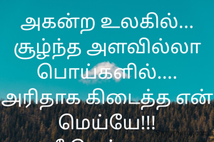 அகன்ற உலகில்...
சூழ்ந்த அளவில்லா பொய்களில்....
அரிதாக கிடைத்த என் மெய்யே!!!
நீ மெய்யாக இருப்பதால்தான்
மிளர்வதில்லையோ
தவறு நான் எனில்ஆசிரியர் நீ!!
வெற்றி நான் எனில்
ஊக்கம் நீ!!!
மகிழ்ச்சி நான் எனில் காரணம் நீ!!
தாயின் பாசம், தந்தையின் துணை,
இரண்டையும் ஒன்றாய் தருபவன் நீயே!!!
என் வாழ்க்கை பயணத்தில் அழகிய கவிதை நீ!!!


