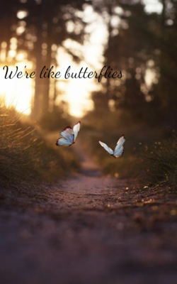 We're like butterflies