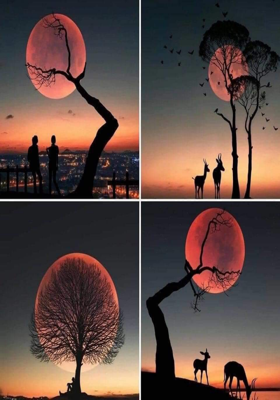 तेरी नज़र