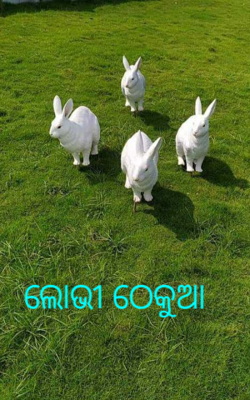 ଲୋଭୀ ଠେକୁଆ