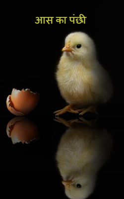 आस का पंछी