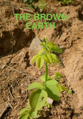 The Brown Earth