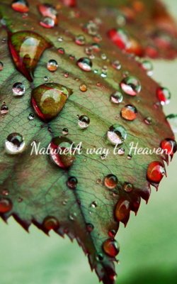 Nature (A Way To Heaven)