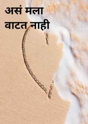 असं मला वाटत नाही