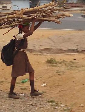 विद्याधन