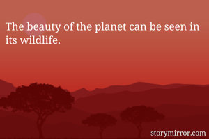 The beauty of the planet can be seen in its wildlife. 
