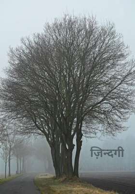 ज़िन्दगी