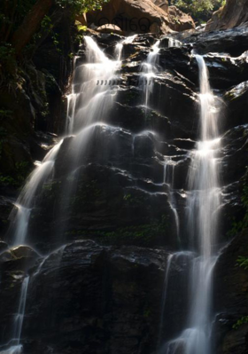 ବର୍ଷାରେ