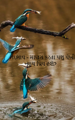 ભેદભાવ - માણસ કરતા પશુ પંખી ન્યાય પ્રિય હશે? 