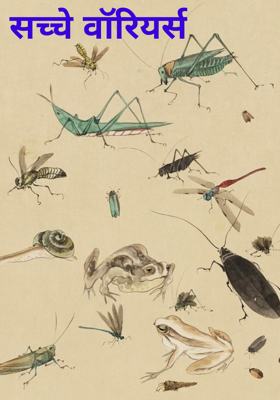 सच्चे वॉरियर्स