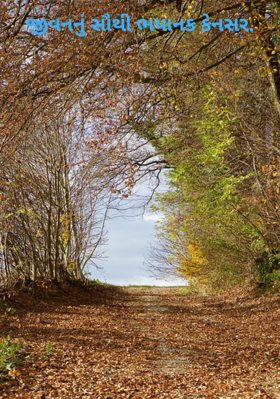જીવનનું‌ સૌથી ભયાનક કેન્સર