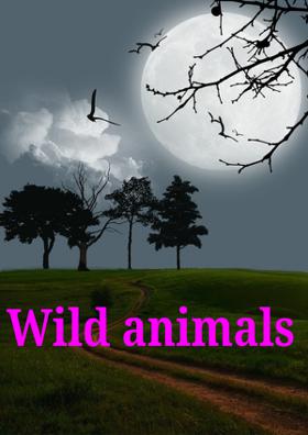 Wild Animals