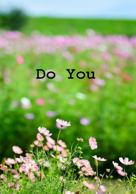 Do You
