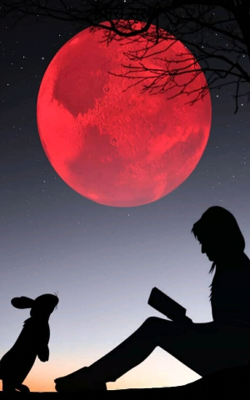 तेरी सूरत