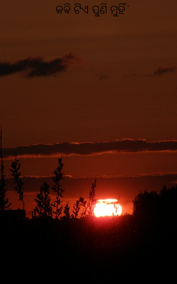 କବି ଟିଏ ପୁଣି ମୁହିଁ