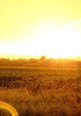 ଖରାର ଦୁଇଟି ସ୍କେଚ୍