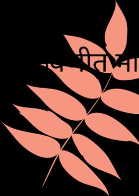 आठवणीत मी