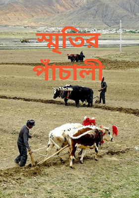 স্মৃতির পাঁচালী