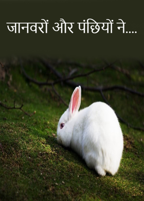 जानवरों और पंछियों ने....
