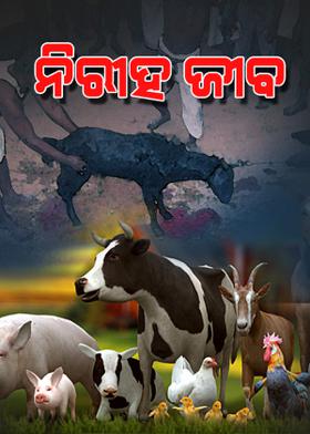 ନିରୀହ ଜୀବ