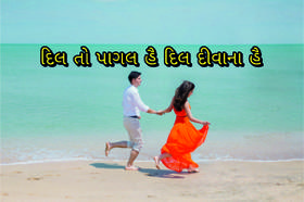 દિલ તો પાગલ હૈ દિલ દીવાના હૈ-3