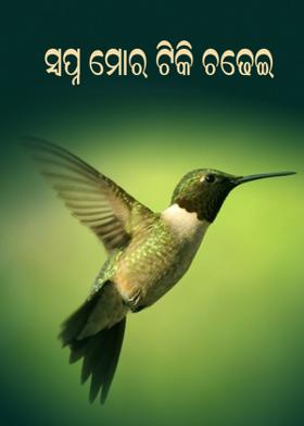 ସ୍ବପ୍ନ ମୋର ଟିକି ଚଢେଇ