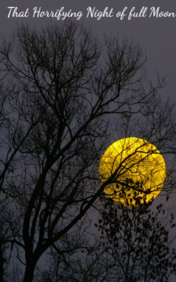 That Horrifying Night of full Moon