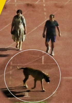 मुकद्दर हो तो ऐसा