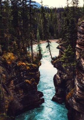 ପ୍ରାୟଶ୍ଚିତ