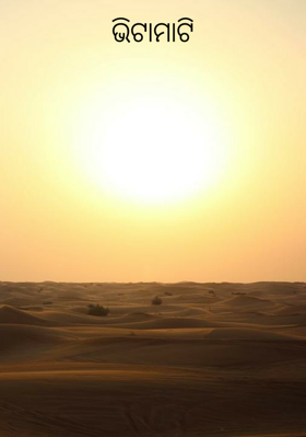 ଭିଟାମାଟି