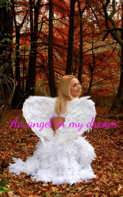 An angel in my dream