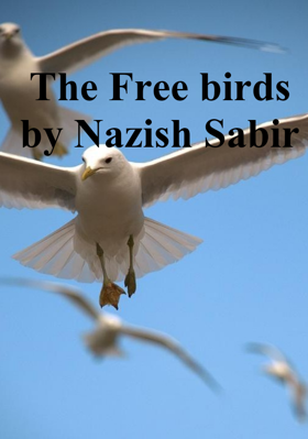 The Free birds by Nazish Sabir